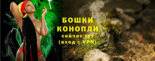 крисы Новозыбков