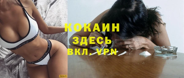 крисы Новозыбков