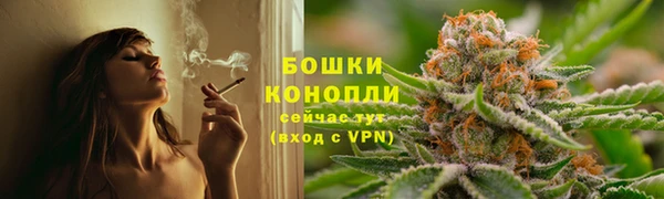 прущая мука Нея