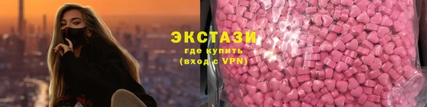 крисы Новозыбков