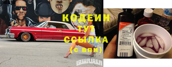 крисы Новозыбков