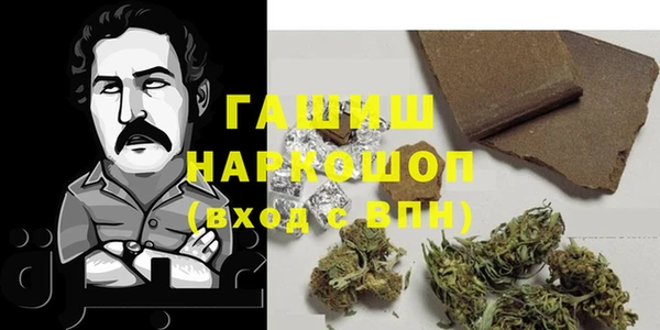 индика Беслан