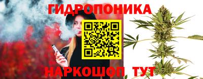 меф Кингисепп