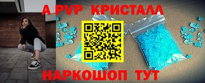 меф Кингисепп
