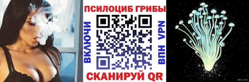 Псилоцибиновые грибы GOLDEN TEACHER  даркнет сайт  Курганинск 