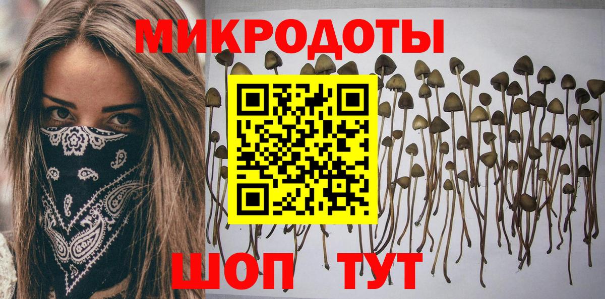 где купить   Псилоцибиновые грибы Psilocybine cubensis  Курганинск  Вход с VPN  Псилоцибиновые грибы Psilocybine cubensis 